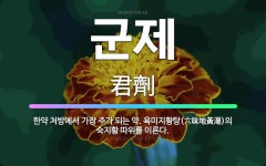 🌟군제: 한약 처방에서 가장 주가 되는 약. 육미지황탕(六味地黃湯)의 숙지황 따위를 이른다. - 표준국어대사전
