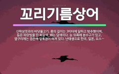 🌟꼬리기름상어: 신락상엇과의 바닷물고기. 몸의 길이는 3미터에 달하고 방추형이며, 등은 파란빛을 띤 회갈색... - 표준국어대사전