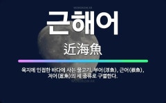 🌟근해어: 육지에 인접한 바다에 사는 물고기. 부어(浮魚), 근어(根魚), 저어(底魚)의 세 종류로 구별한다. - 표준국어대사전
