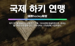🌟국제 하키 연맹: 하키 경기를 통괄하는 국제적인 단체. 1924년에 창설하였으며, 본부는 벨기에의 브뤼셀... - 표준국어대사전