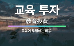 인투자산관리앤재무설계 | 🌟교육 투자: 교육에 투입하는 비용. - 표준국어대사전