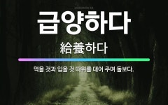 🌟급양하다: 먹을 것과 입을 것 따위를 대어 주며 돌보다. - 표준국어대사전