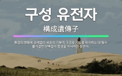 🌟구성 유전자: 환경의 변화에 관계없이 세포의 기본적 구조와 기능을 유지하는 데 필수 불가결한 단백질의 합... - 표준국어대사전