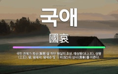 🌟국애: 국민 전체가 복상(服喪)을 하던 왕실의 초상. 태상왕(太上王), 상왕(上王), 왕, 왕세자, 왕세... - 표준국어대사전