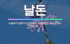 🌟날돈: 쓸데없는 곳에 공연히 쓰는 돈., 쓸데가 정해지지 않은 공돈. - 표준국어대사전