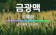 🌟금광맥: 금이 묻혀 있는 광맥. - 표준국어대사전