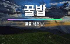 🌟꿀밥: 꿀을 섞은 밥. - 표준국어대사전