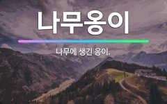 🌟나무옹이: 나무에 생긴 옹이. - 표준국어대사전