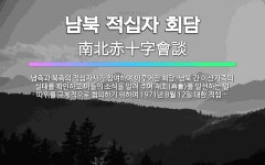 🌟남북 적십자 회담: 남측과 북측의 적십자사가 참여하여 이루어진 회담. 남북 간 이산가족의 실태를 확인하고... - 표준국어대사전