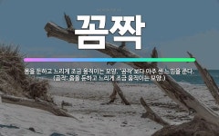 🌟꼼짝: 몸을 둔하고 느리게 조금 움직이는 모양. ‘곰작’보다 아주 센 느낌을 준다. (곰작: 몸을 둔하고... - 표준국어대사전