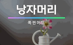🌟낭자머리: 쪽 찐 머리. - 표준국어대사전
