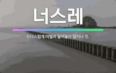 🌟너스레: 수다스럽게 떠벌려 늘어놓는 말이나 짓. - 표준국어대사전