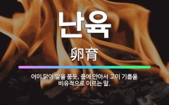 🌟난육: 어미 닭이 알을 품듯, 품에 안아서 고이 기름을 비유적으로 이르는 말. - 표준국어대사전