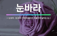 🌟눈바라: → 눈보라. (눈보라: 바람에 불리어 휘몰아쳐 날리는 눈.) - 표준국어대사전