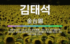 🌟김태석: 서예가(1875~1953). 호는 성재(惺齋). 전서, 예서, 전각(篆刻)에 뛰어났다. 중국에 ... - 표준국어대사전