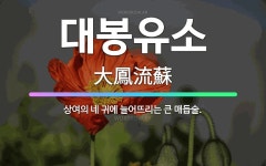 🌟대봉유소: 상여의 네 귀에 늘어뜨리는 큰 매듭술. - 표준국어대사전