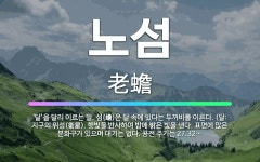 🌟노섬: ‘달’을 달리 이르는 말. 섬(蟾)은 달 속에 있다는 두꺼비를 이른다. (달: 지구의 위성(衛星)... - 표준국어대사전