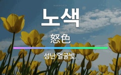 🌟노색: 성난 얼굴빛. - 표준국어대사전