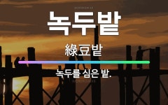 🌟녹두밭: 녹두를 심은 밭. - 표준국어대사전
