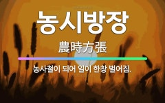 🌟농시방장: 농사철이 되어 일이 한창 벌어짐. - 표준국어대사전