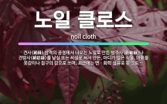 🌟노일 클로스: 견사(絹絲) 방적의 공정에서 나오는 노일로 만든 방주사(紡紬絲)나 견방사(絹紡絲)를 날실 ... - 표준국어대사전