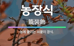 🌟농장식: 농에 붙이는 쇠붙이 장식. - 표준국어대사전
