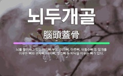 🌟뇌두개골: 뇌를 둘러싸고 있는 머리뼈 부분. 이마뼈, 마루뼈, 뒤통수뼈 등 덮개를 이루는 뼈와 관자뼈, ... - 표준국어대사전