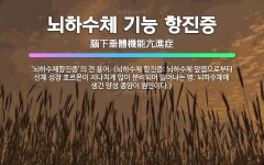 🌟뇌하수체 기능 항진증: ‘뇌하수체항진증’의 전 용어. (뇌하수체 항진증: 뇌하수체 앞엽으로부터 신체 성장... - 표준국어대사전
