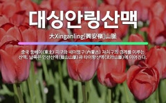 🌟대싱안링산맥: 중국 둥베이(東北) 지구와 네이멍구(內蒙古) 자치구의 경계를 이루는 산맥. 남쪽은 인산산맥... - 표준국어대사전