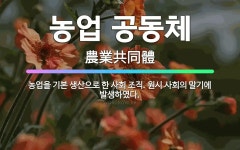 🌟농업 공동체: 농업을 기본 생산으로 한 사회 조직. 원시 사회의 말기에 발생하였다. - 표준국어대사전