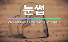 🌟눈썹: 두 눈두덩 위에 가로로 모여 난 짧은 털., 눈시울에 난 털. - 표준국어대사전