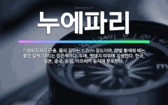 🌟누에파리: 기생파릿과의 곤충. 몸의 길이는 1.2cm 정도이며, 잿빛 황색에 배는 붉은 갈색, 다리는 검... - 표준국어대사전
