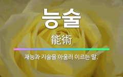 🌟능술: 재능과 기술을 아울러 이르는 말. - 표준국어대사전