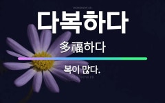 🌟다복하다: 복이 많다. - 표준국어대사전