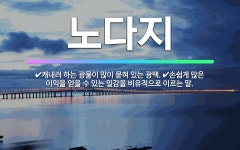 🌟노다지: 캐내려 하는 광물이 많이 묻혀 있는 광맥., 손쉽게 많은 이익을 얻을 수 있는 일감을 비유적으로... - 표준국어대사전
