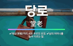 🌟당로: 재상(宰相)끼리 서로 부르던 호칭., 남의 어머니를 높여 이르는 말. - 표준국어대사전