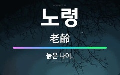 🌟노령: 늙은 나이. - 표준국어대사전