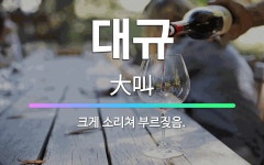 🌟대규: 크게 소리쳐 부르짖음. - 표준국어대사전