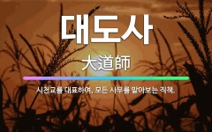 🌟대도사: 시천교를 대표하여, 모든 사무를 맡아보는 직책. - 표준국어대사전