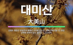 🌟대미산: 강원도 평창군 방림면과 봉평면 사이에 있는 산. 태백산맥의 줄기인 중앙 산맥에 속하여 있다. 높... - 표준국어대사전