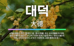 🌟대덕: 조계종에서 쓰는, 비구 법계(法階)의 3급 2호. 종덕(宗德)의 아래, 중덕(中德)의 위이다., ... - 표준국어대사전
