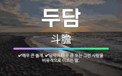 🌟두담: 담력이 매우 큼 또는 그런 사람을 비유적으로 이르는 말., 매우 큰 쓸개. - 표준국어대사전