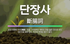 🌟단장사: 조선 시대의 가사(歌辭). 임을 그리워하는 애타는 정을 읊은 것으로 모두 182구로 되어 있다.... - 표준국어대사전