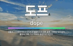 🌟도프: 셀룰로스아세테이트나 나이트로셀룰로스의 진한 용액. 긴축성, 내구성이 좋아서 가죽, 기구 따위의 칠... - 표준국어대사전