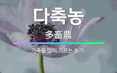 🌟다축농: 가축을 많이 기르는 농가. - 표준국어대사전