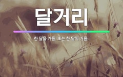 🌟달거리: 한 달을 거름. 또는 한 달씩 거름. - 표준국어대사전