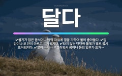 🌟달다: 물기가 많은 음식이나 탕약 따위에 열을 가하여 물이 졸아들다., 입 안이나 코 안이 마르고 뜨거워... - 표준국어대사전