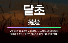 🌟달초: 닦달하거나 문초함., 어버이나 스승이 자식이나 제자의 잘못을 징계하기 위하여 회초리로 볼기나 종아... - 표준국어대사전