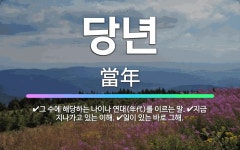 🌟당년: 지금 지나가고 있는 이해., 그 수에 해당하는 나이나 연대(年代)를 이르는 말., 일이 있는 바로... - 표준국어대사전