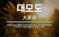 🌟대모도: 전라남도 완도군 청산면 모도리에 속하는 섬. 굴, 김의 양식업과 마른 김 따위의 수산 가공업이 ... - 표준국어대사전